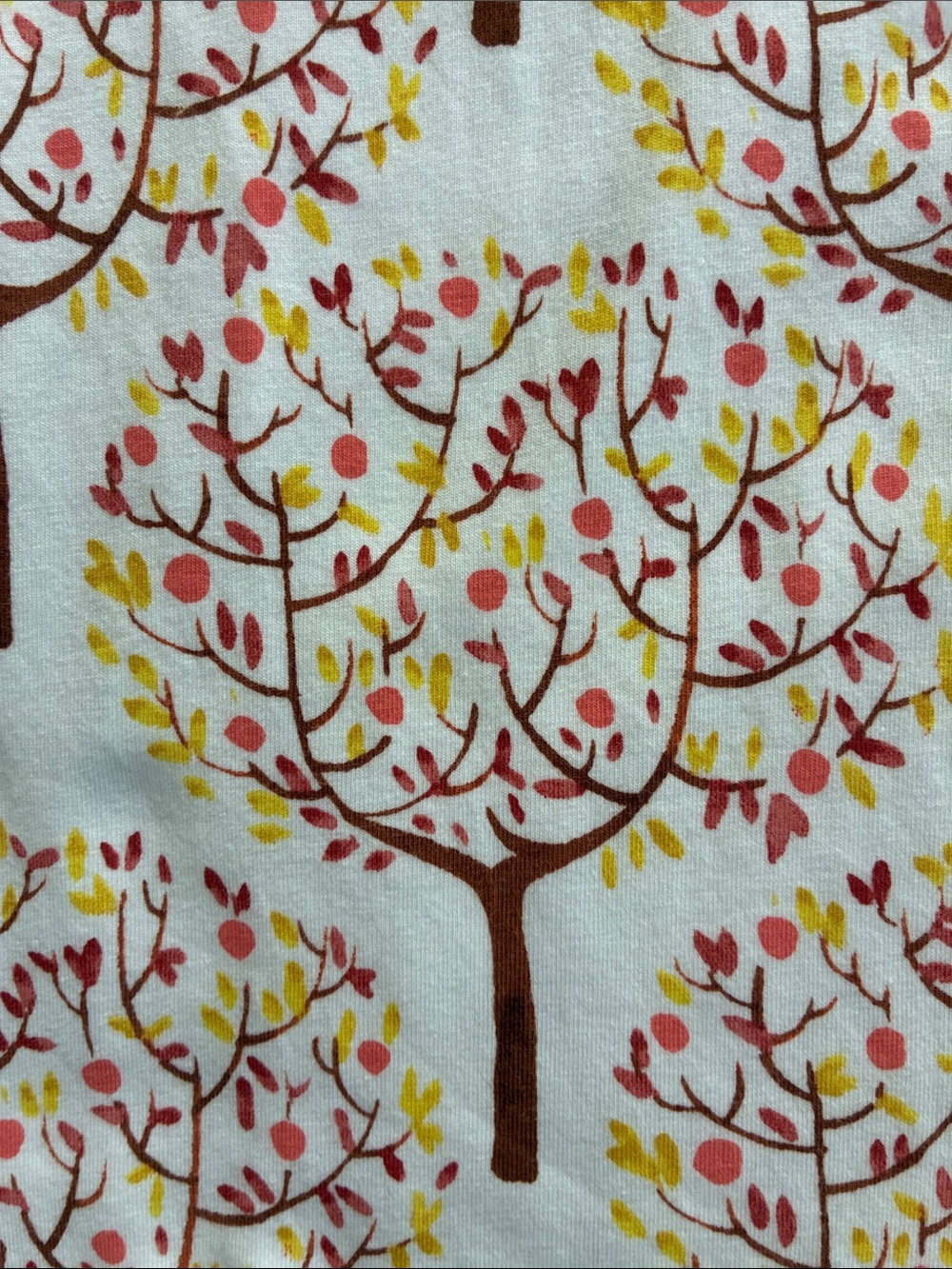 Talbots l/s Autumn Fall tee - Picture 3 of 6